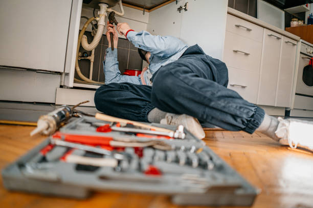 Best Plumbing Services Near Me  in West Mountain, UT