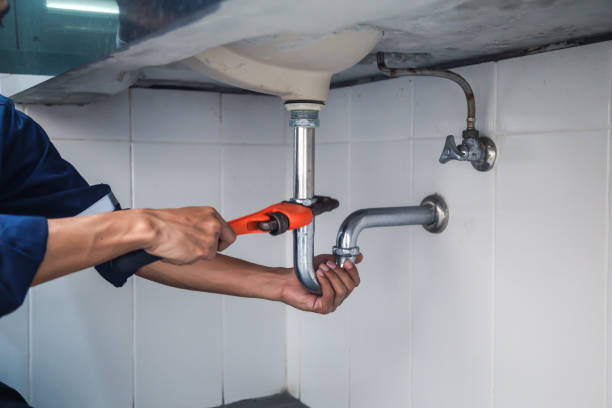 Best Plumbing Inspection Services  in West Mountain, UT